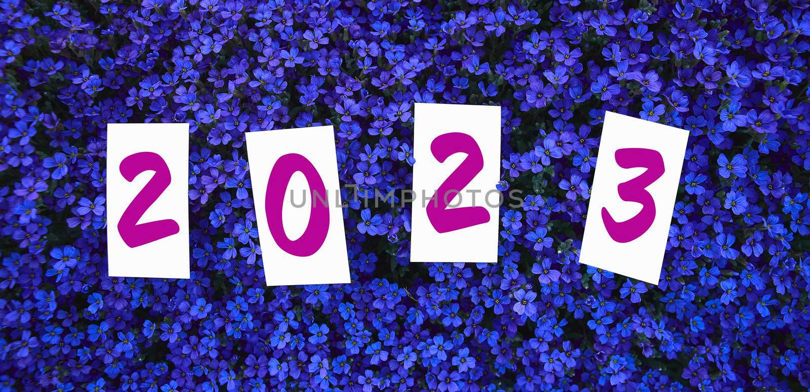 Happy New Year 2023. New year background concept, blue flowers with 2023 year cards on blue background.