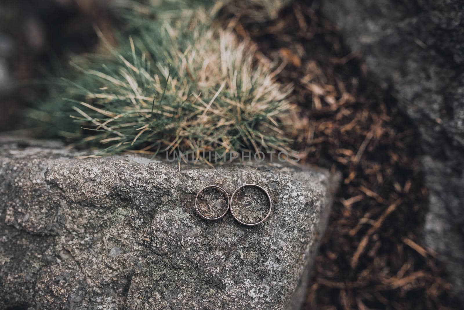 wedding rings bride and groom on the background. Wedding ceremony. Jewelry.