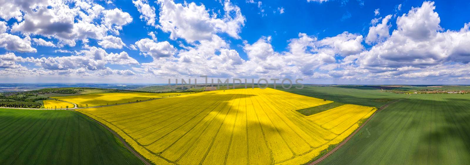 Amazing aerial panorama from a drone of yellow and green fields, agriculture concept. Countryside farmland.