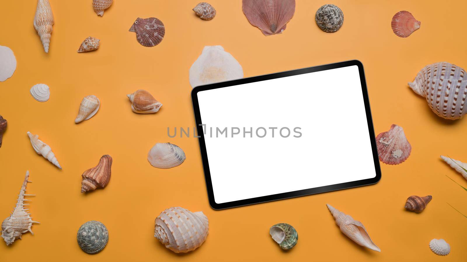 Top view digital tablet and seashells on yellow background. Sea, vacation, travel and summer holidays concept.