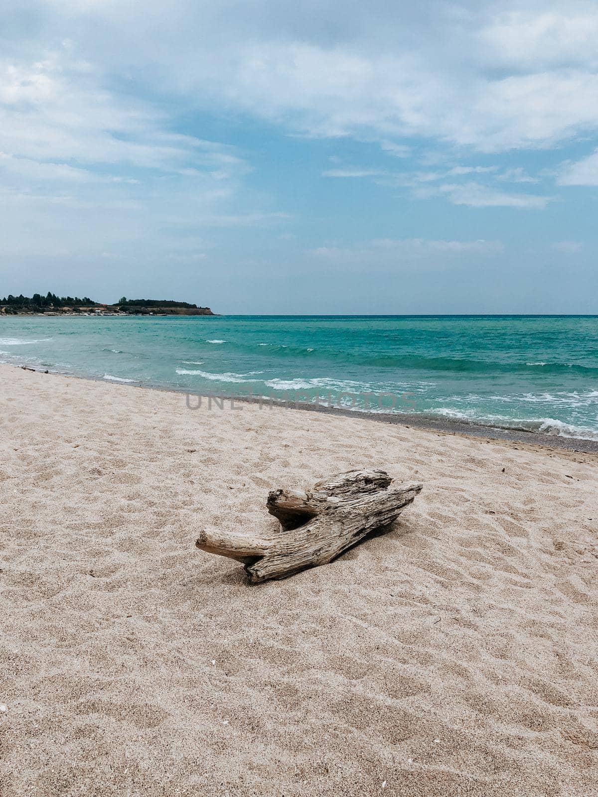 log on white sand beach sea blue aquamarine waves line. Soft wave ocean foam. by AndriiDrachuk