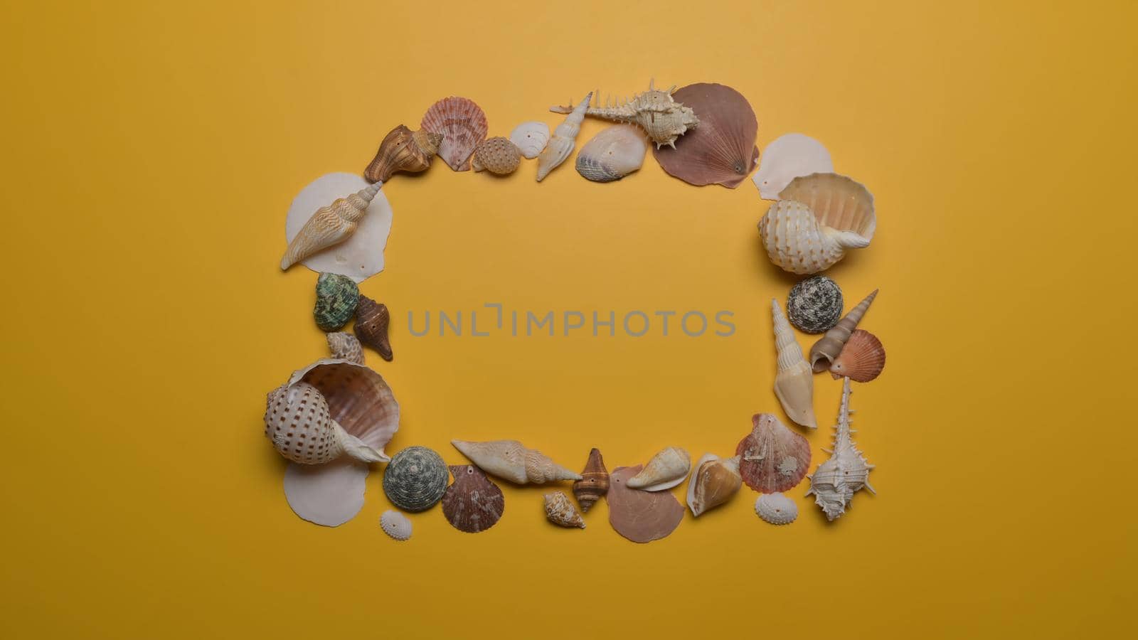 Summer composition. Seashells on yellow background. Summer vacation concept.