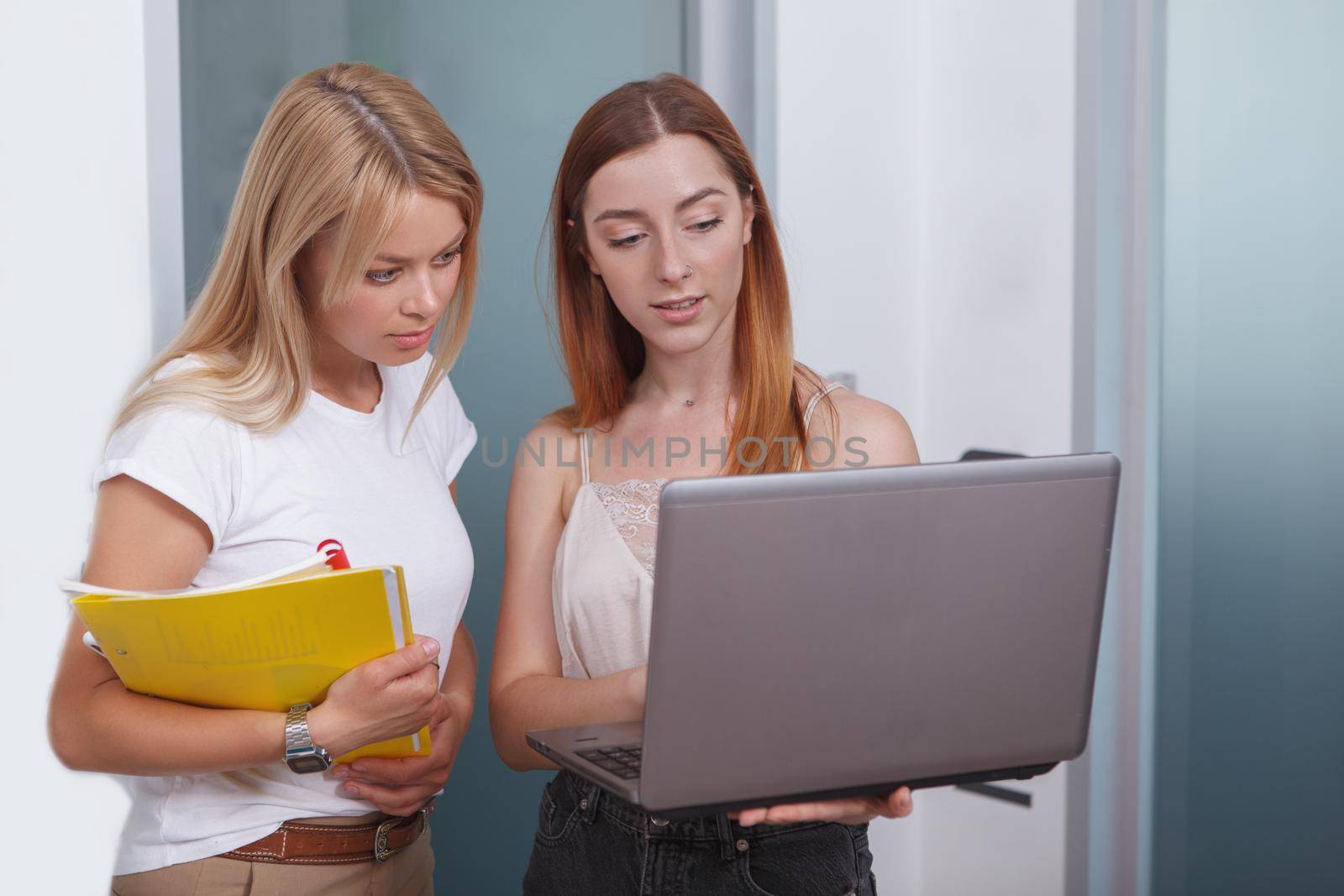 Young businesswomen using laptop at work
