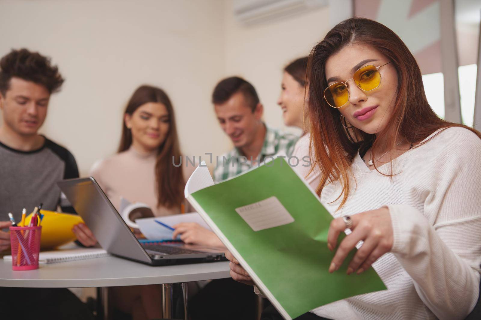 Confidence, success concept. Attractive young female college studentsmiling to the camera, while preparing for exams with her classmates, copy space