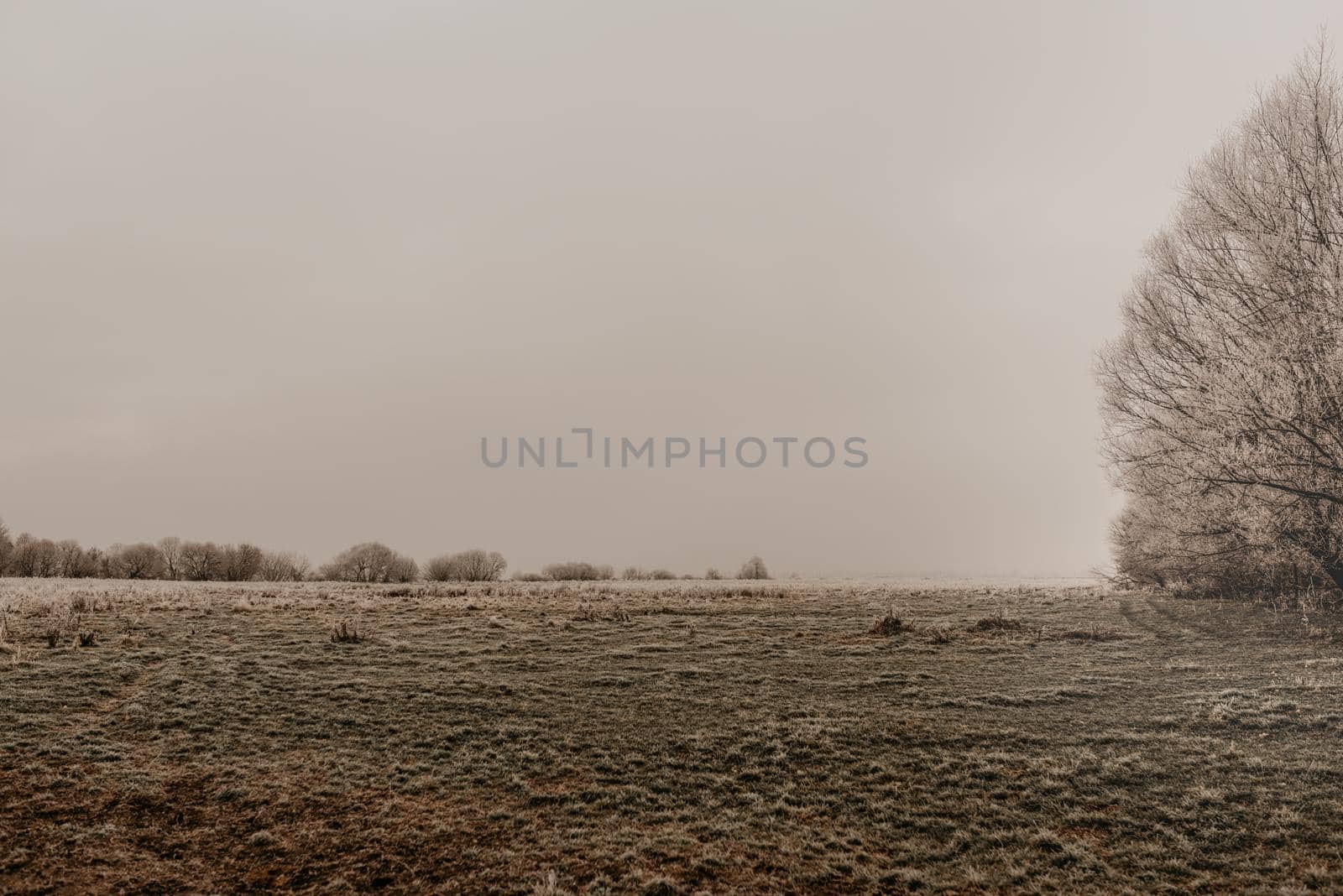 an empty green field in the grass covered with hoarfrost. earlier autumn winter morning. Nature in fog, gloomy cold weather. temperature drop Ukraine Europe