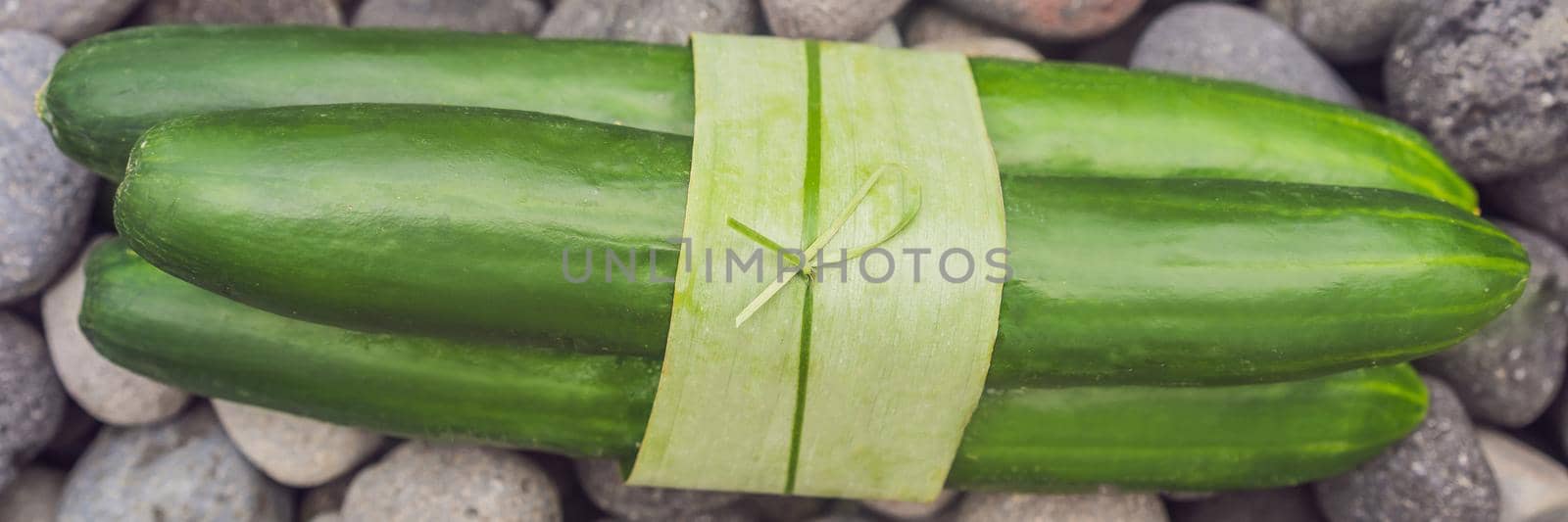 BANNER, LONG FORMAT Eco-friendly product packaging concept. Cucumber wrapped in a banana leaf, as an alternative to a plastic bag. Zero waste concept. Alternative packaging by galitskaya