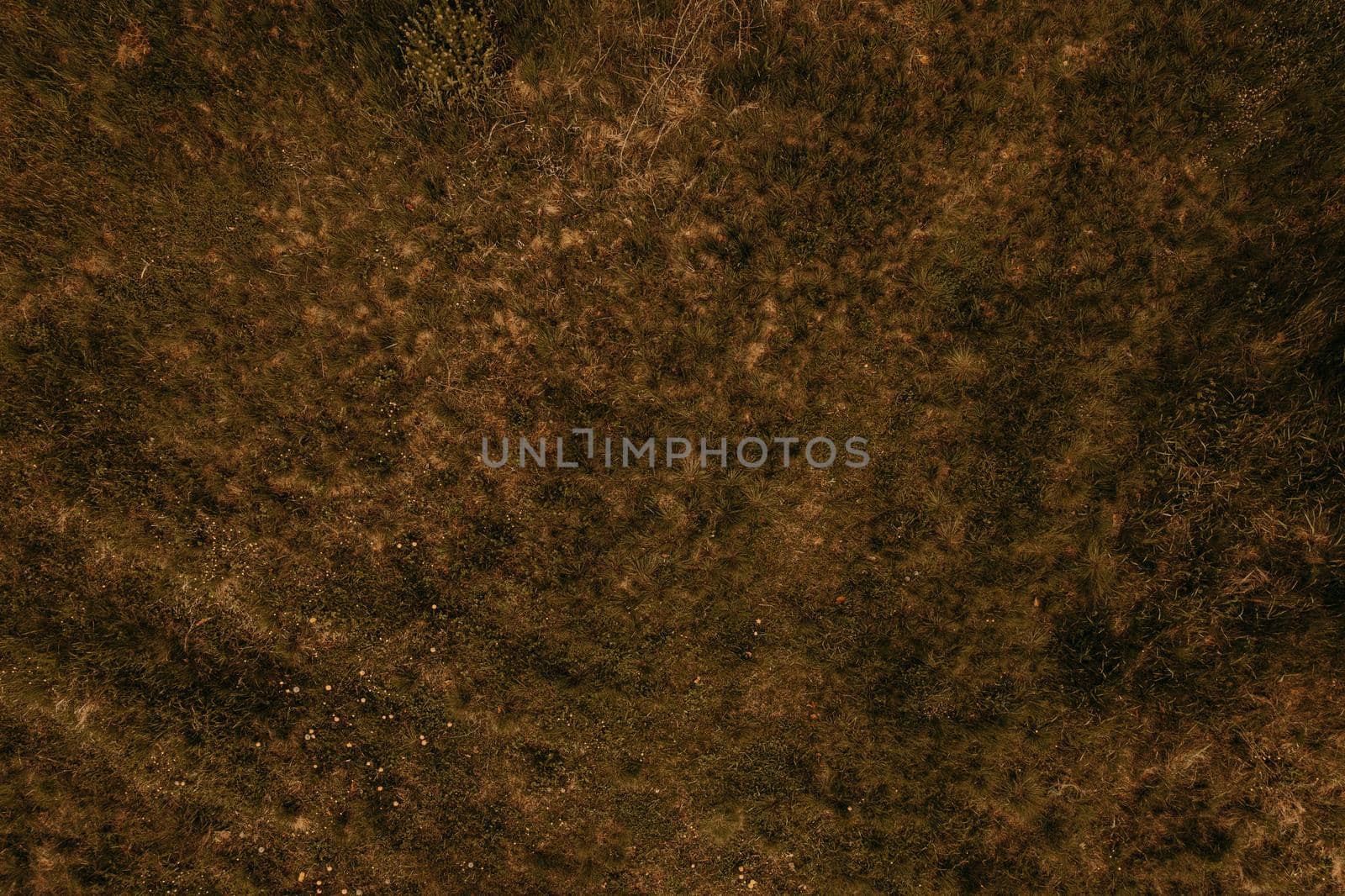 Texture wallpaper mockup template empty blank. Dry grass texture aerial view. Natural background field dry orange grass drone view above. orange autumn nature shoot wallpaper. Abstract place for text