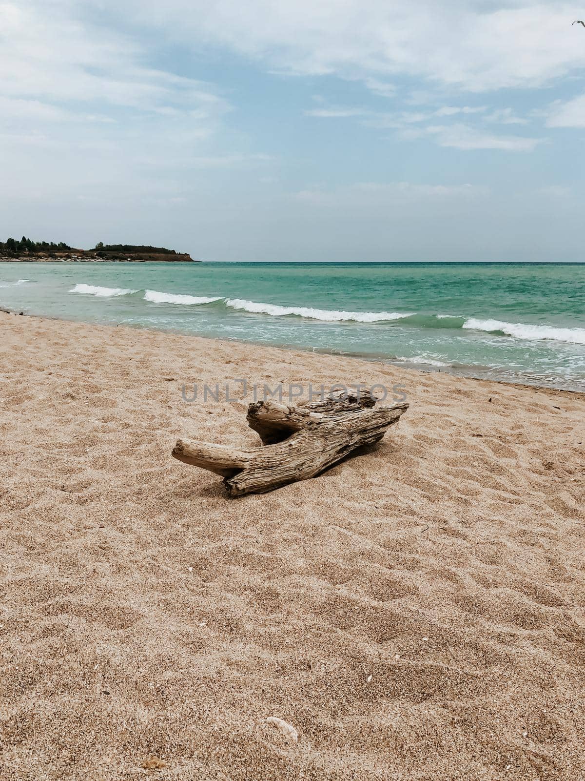 log on white sand beach sea blue aquamarine waves line. Soft wave ocean foam. Natural background sky sunny beach. Template free space pattern wallpaper mockup. summer background Black sea waves marine