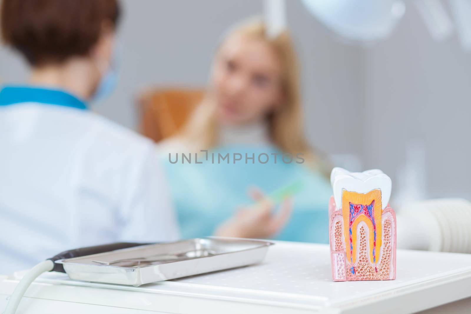 Selective focus on tooth mold at the dentist office on the foreground, copy space. Woman talking to the dentist on the background. Female patient having dental checkup. Medical care, healthy living