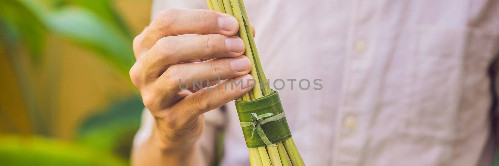 BANNER, LONG FORMAT Eco-friendly product packaging concept. Lemongrass wrapped in a banana leaf, as an alternative to a plastic bag. Zero waste concept. Alternative packaging.