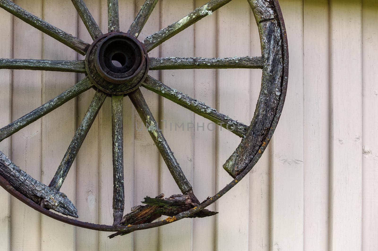 Vintage broken, rotten wooden carriage wheel on the wooden wall of the house. by Lincikas