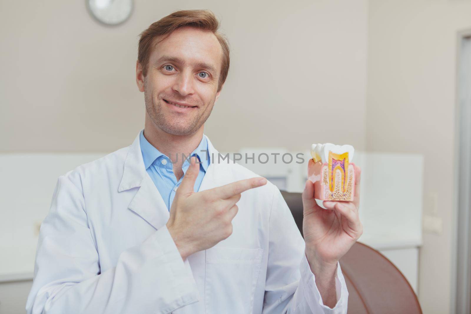 Healthy teeth, dentistry concept. Handsome cheerful mature male dentist smiling, pointing at healthy tooth model in his hand. Professional stomatologist reminding you about dental checkup importance