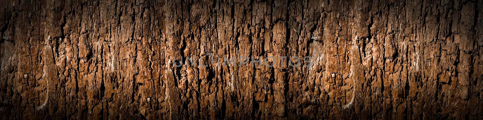 Texture of old wood with cracks. Old, cracked wood background, high resolution. by SERSOL