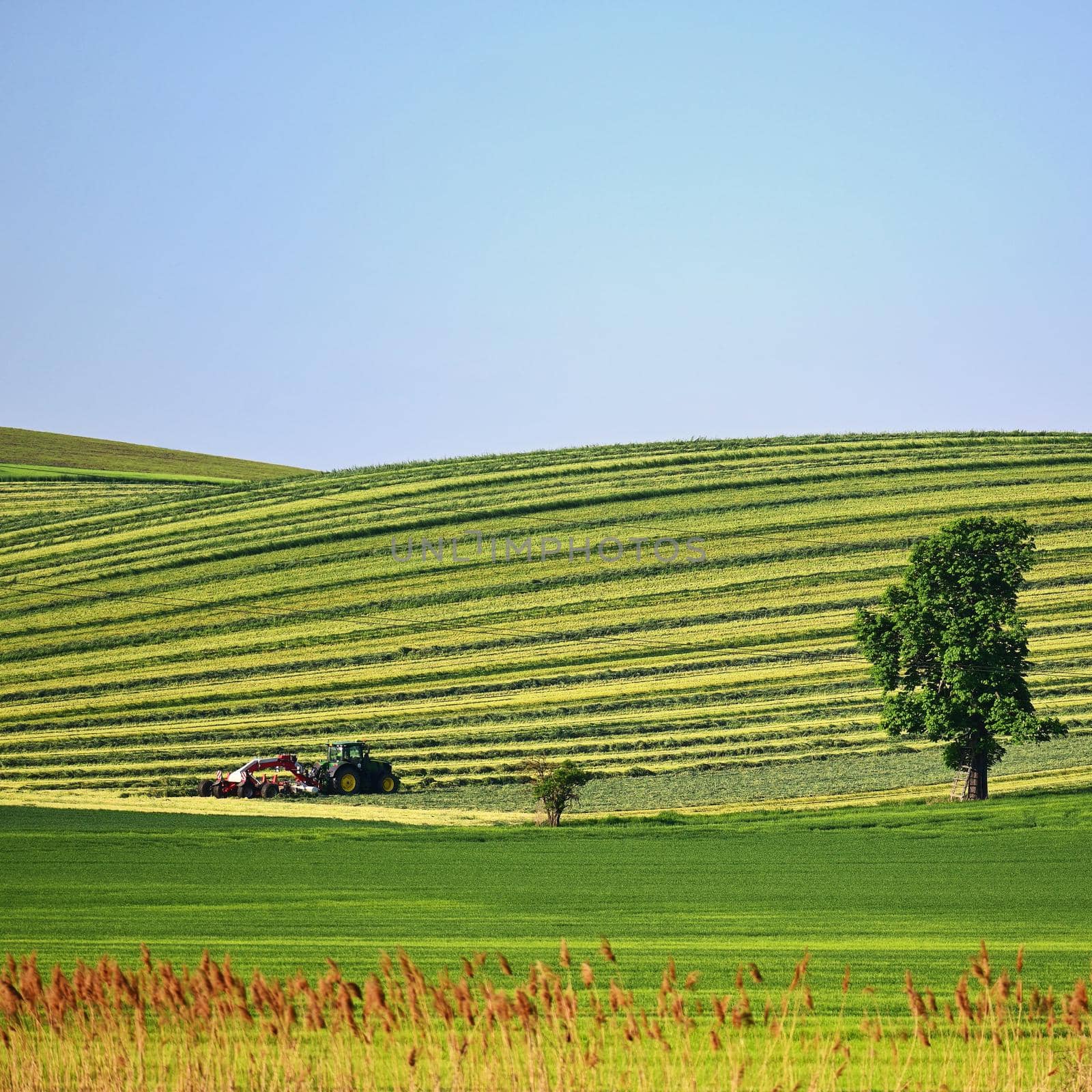 Tractor in the field. Beautiful spring landscape in the countryside in the Czech Republic. Concept for agriculture and nature. by Montypeter