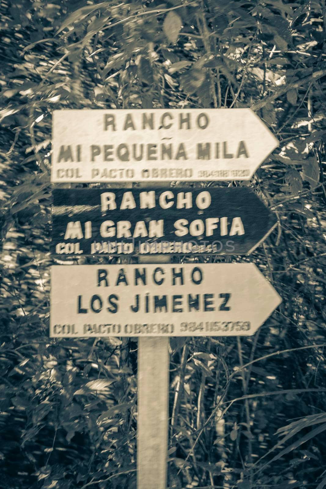 Muyil Mexico 04. February 2022 Old black and white picture of Information entrance walking trails and welcome sing board with arrow to ranches and farms in Puerto Aventuras Quintana Roo Mexico.