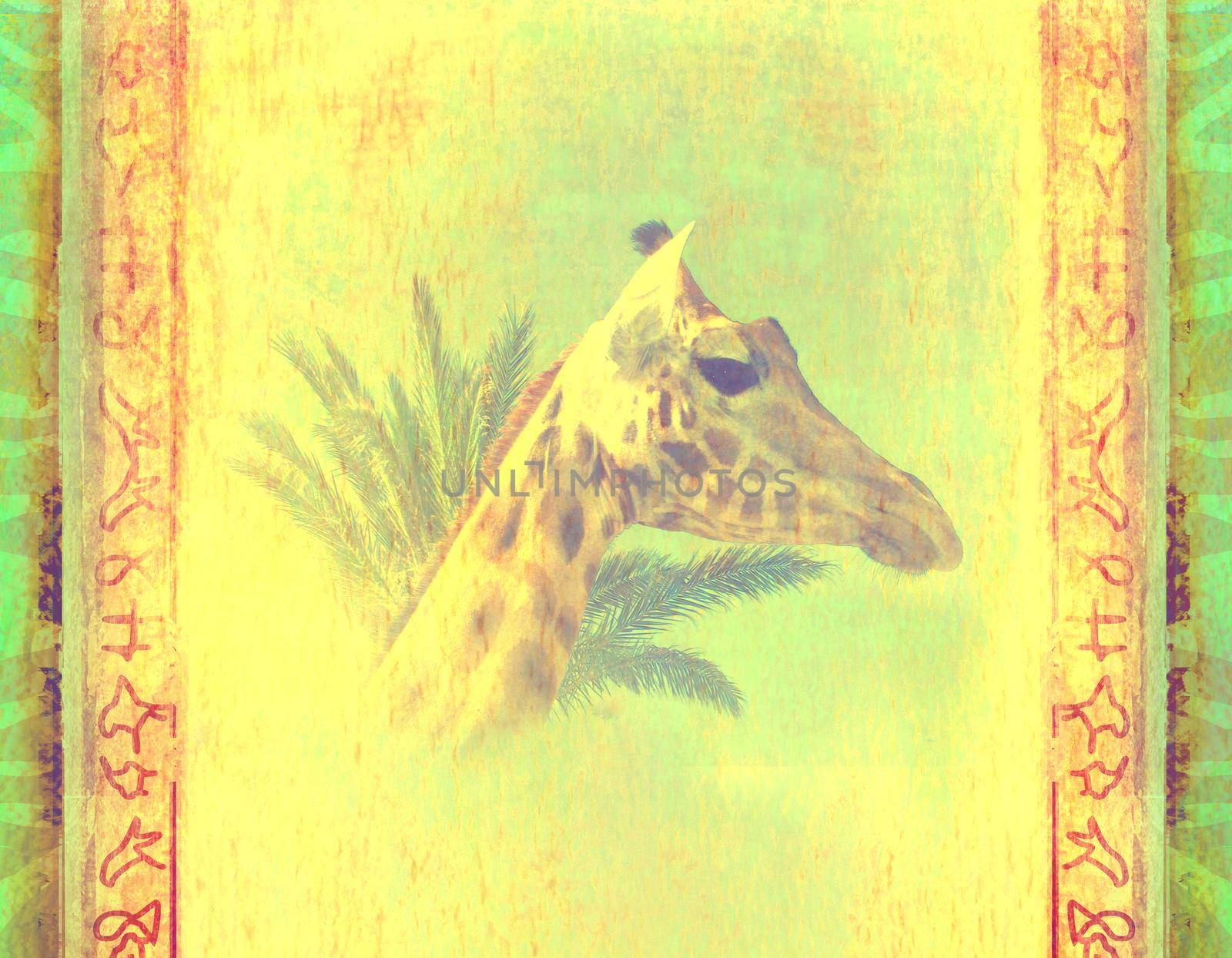 grunge background with giraffe and palm by JackyBrown