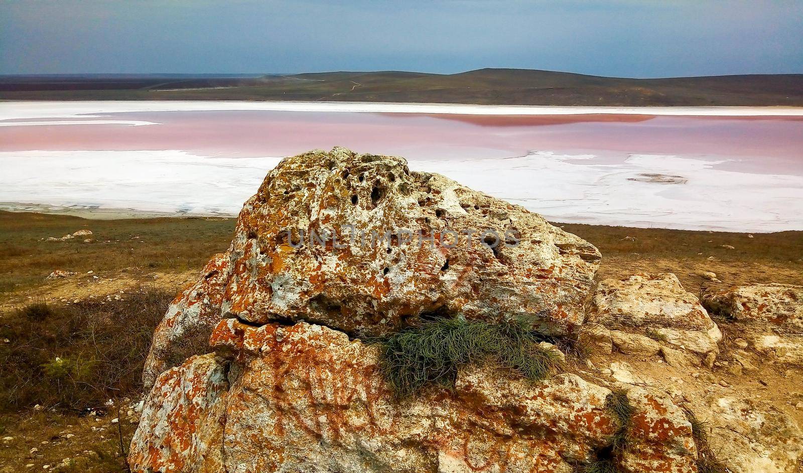 Pink salt lake. Salt industry - extraction of pink salt. Wonder of nature. The pink crust of salt on water.