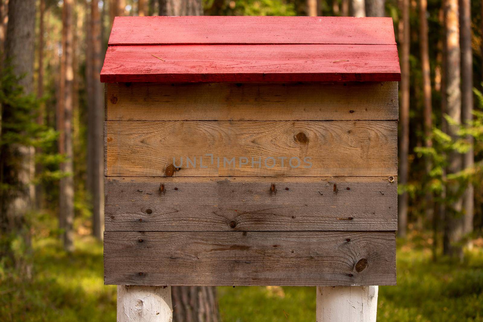 an empty old wooden signboard ready to post information in a pine forest.
