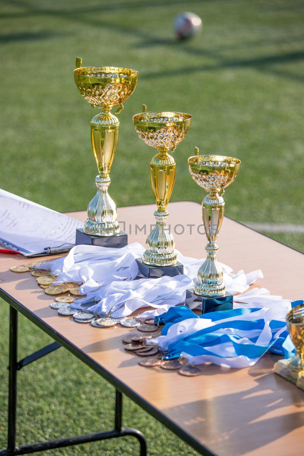 three different types of golden trophies on a blurry background of a football field