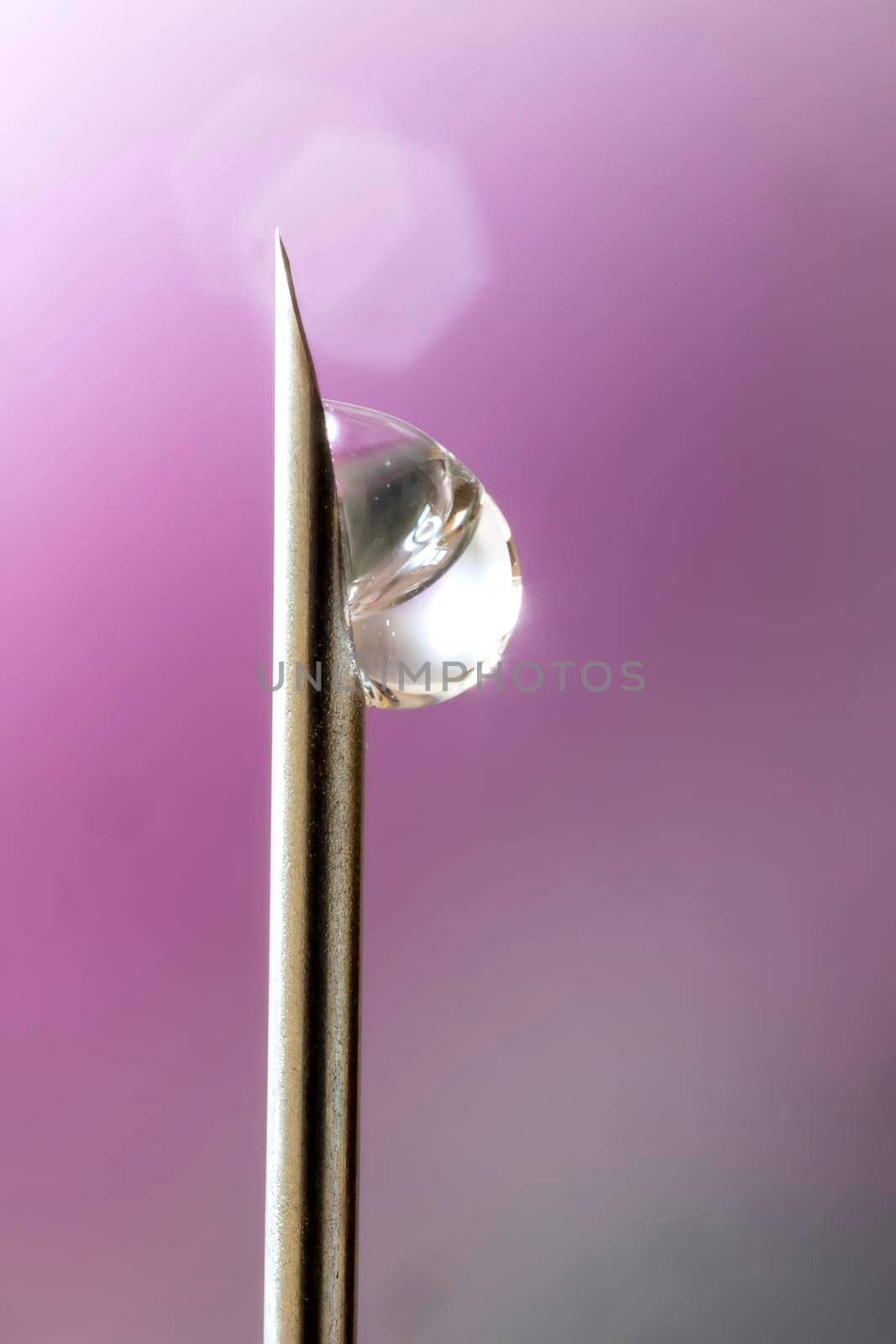 macro photo of a medical needle for injection with a drop of liquid. by EdVal