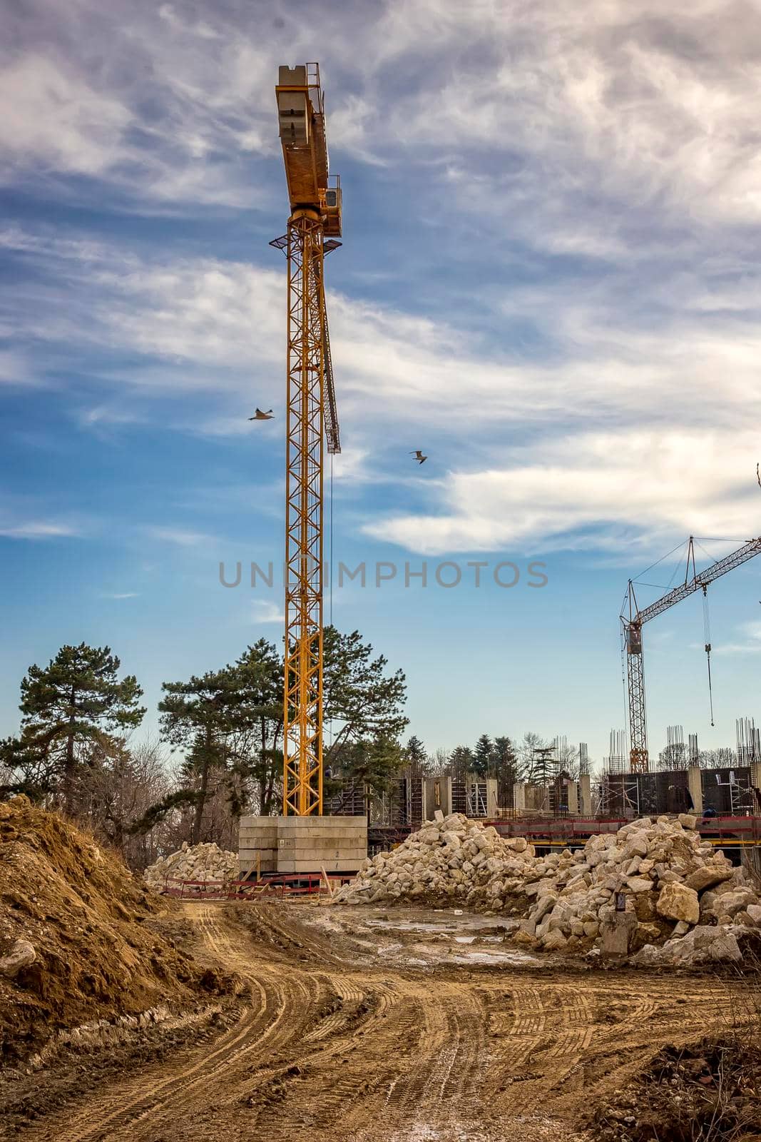 working at the  construction site with cranes and building. Vertical view