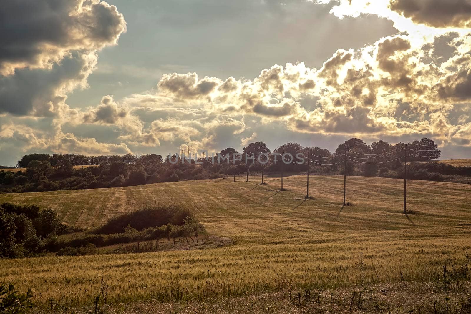 electric transmission lines stretching over a farm fields and forest in cloudy day.  by EdVal