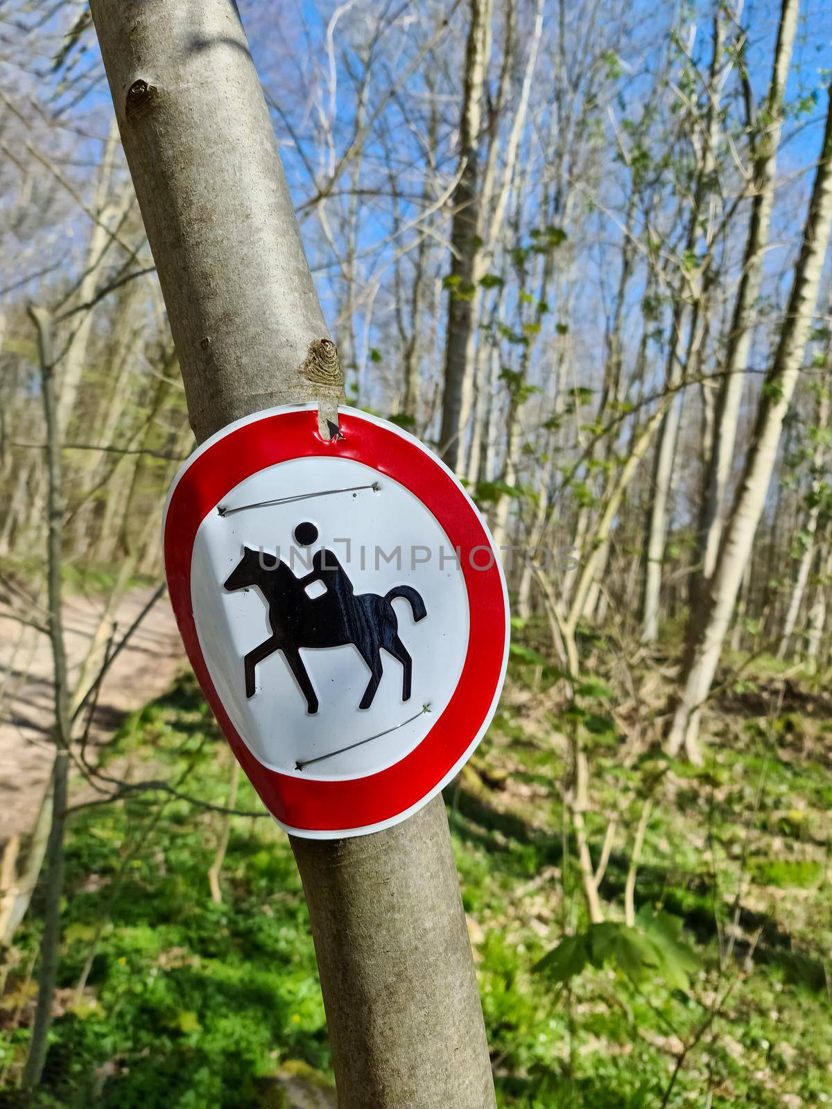 Prohibition sign for horses and riders tied to a tree in a forest. by MP_foto71