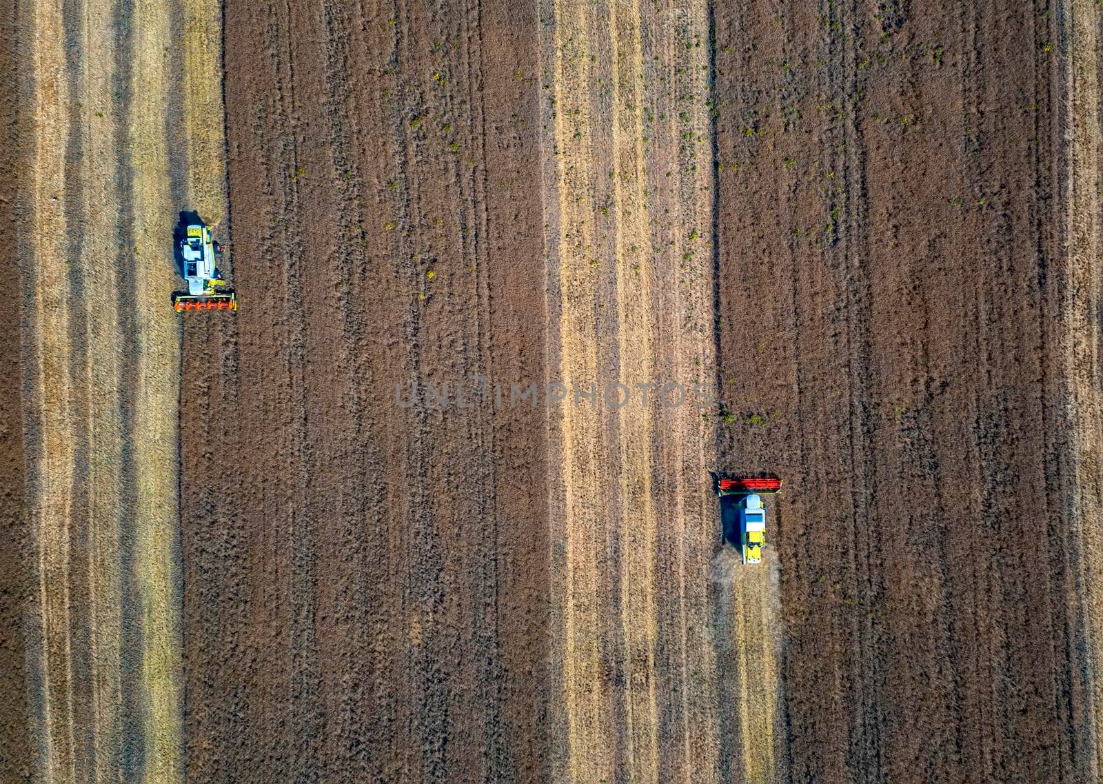 Harvesting time. Agricultural industry. Aerial view of combine harvester in field. Top view by EdVal