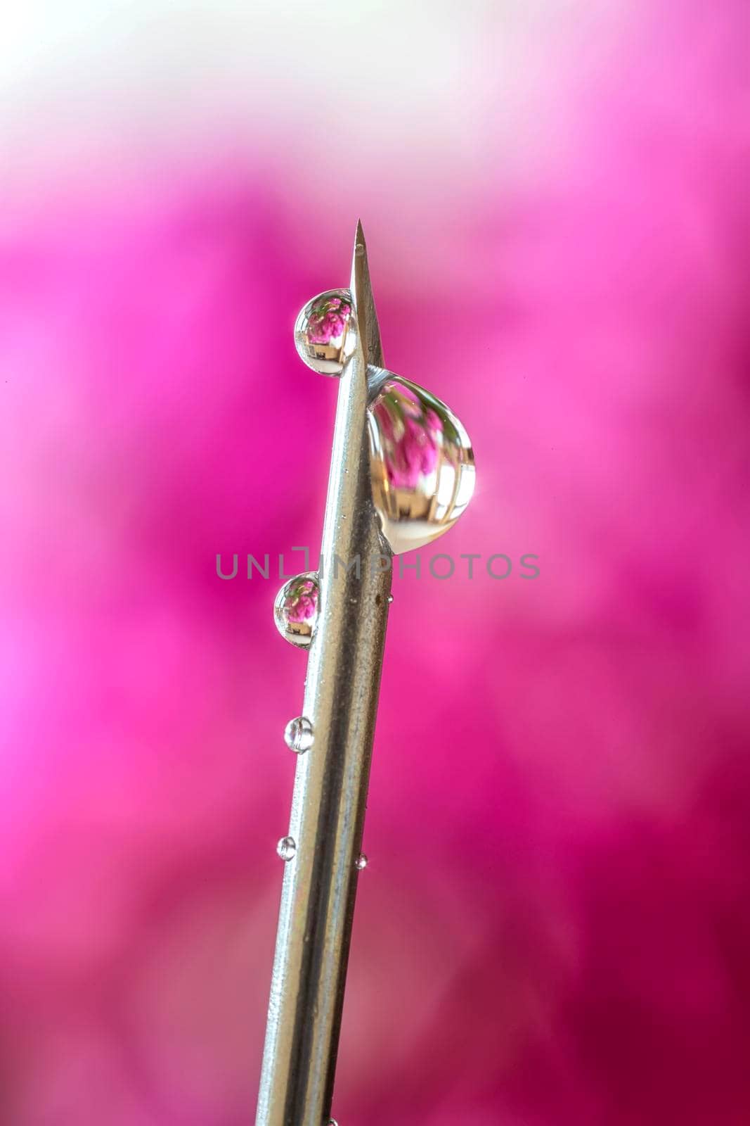 macro photo of a medical needle for injection with a drops of liquid with reflection