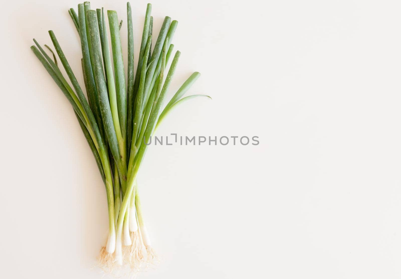 High angle view of spring onions on white table with copy space to right by natalie_board