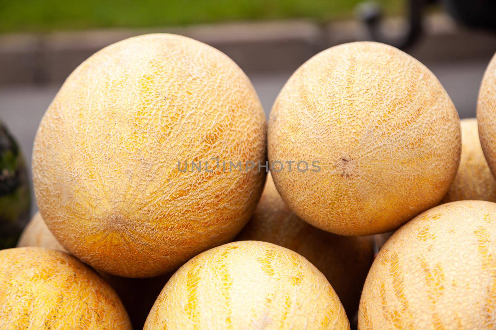 Fresh yellow melon. Many melons in the farmers market. Honey Melon.