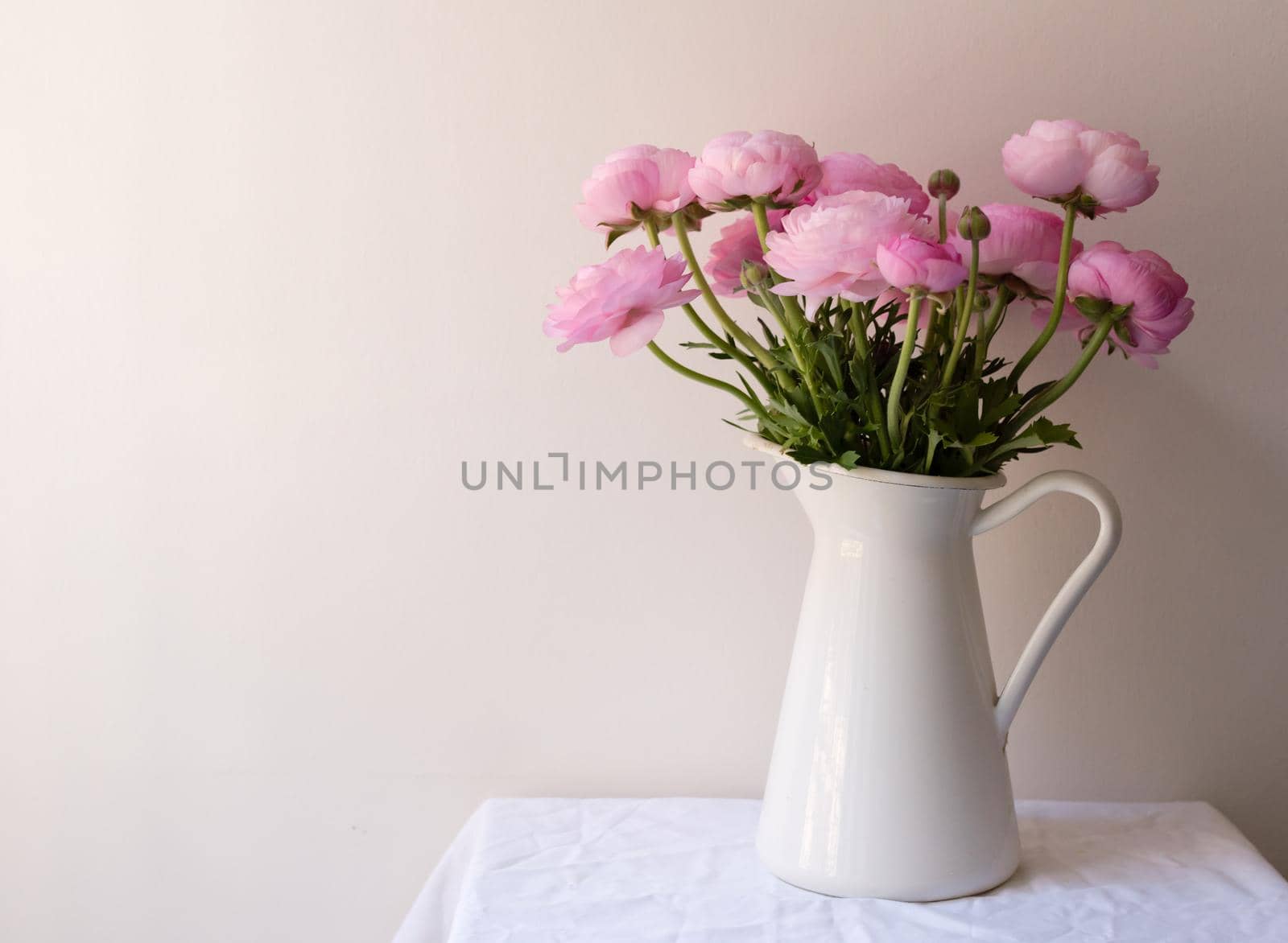 Pink ranunculus flowers in white jug on small table by natalie_board