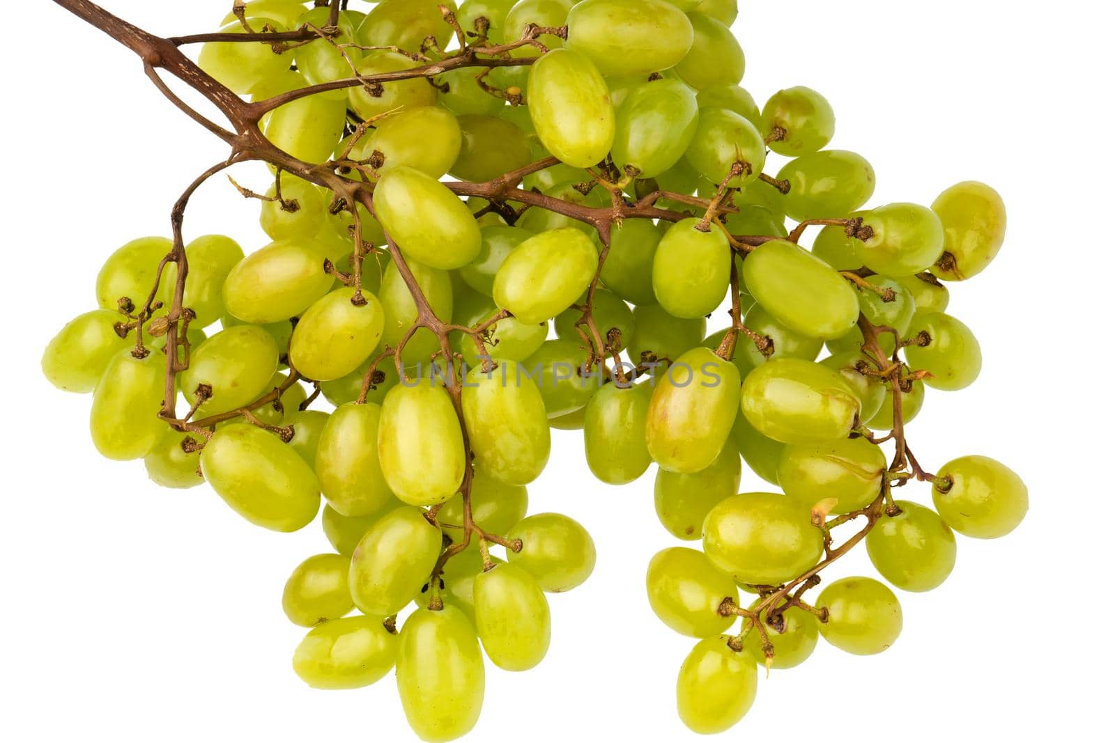 Bunch of ripe table grapes, on white background isolated