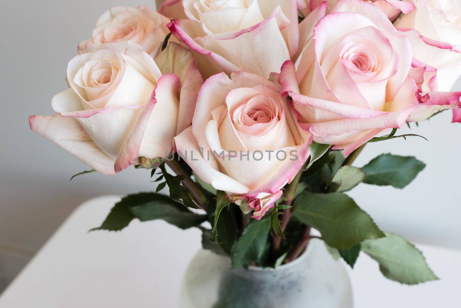 Close up of pink and cream roses in glass vase on white table (cropped and selective focus) by natalie_board