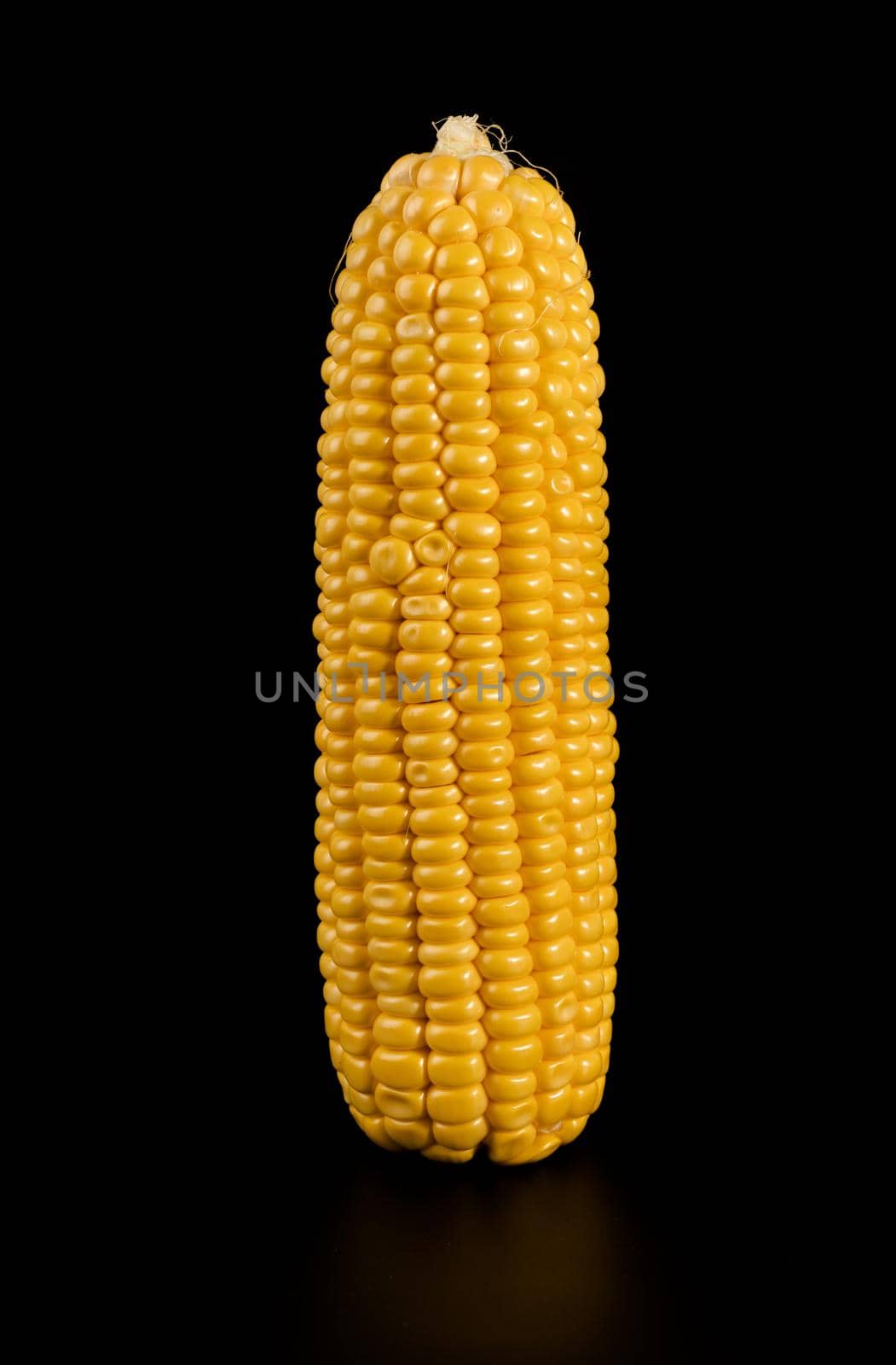 Kachan of ripe corn, without husks, with reflection on a black background