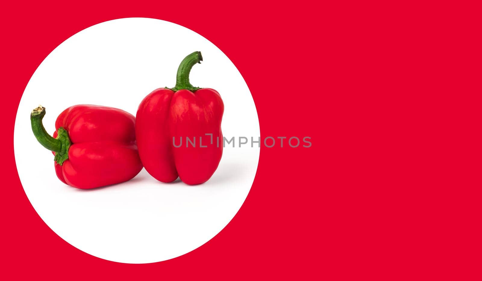 two red ripe peppers red on a white background with a shadow, space for the text on a red background