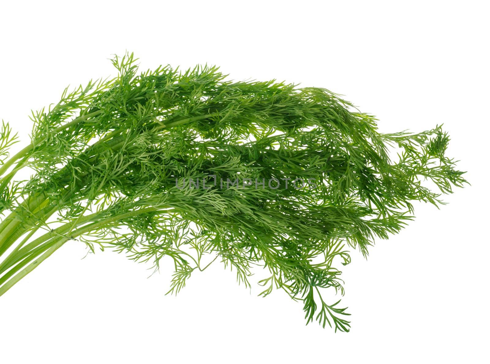 Bunch of green dill isolated on white background