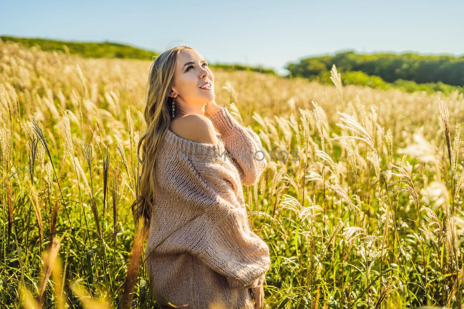 Young beautiful woman in autumn landscape with dry flowers, wheat spikes. Fashion autumn, winter. Sunny autumn, Cozy autumn sweater. fashion photo.