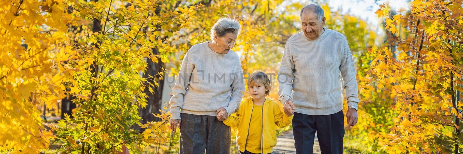 BANNER, LONG FORMAT Senior couple with baby grandson in the autumn park. Great-grandmother, great-grandfather and great-grandson.