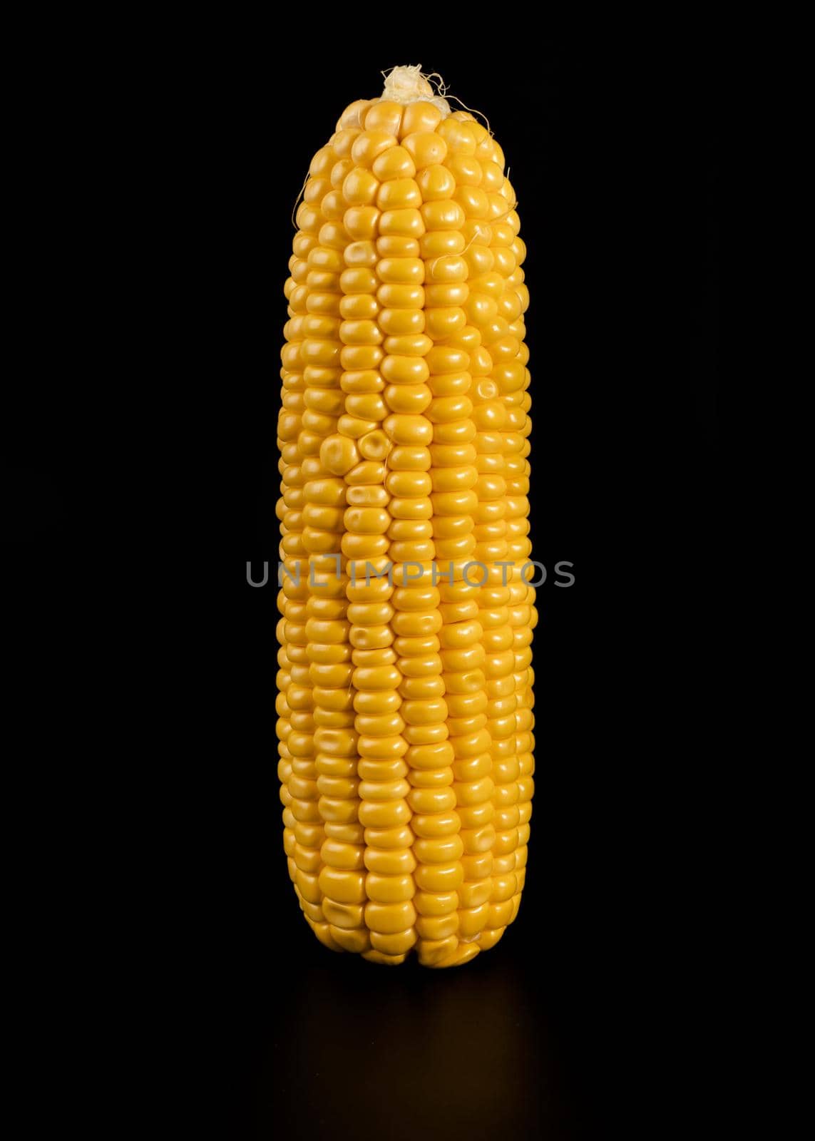 A swing of ripe corn separated from a husk on a black background
