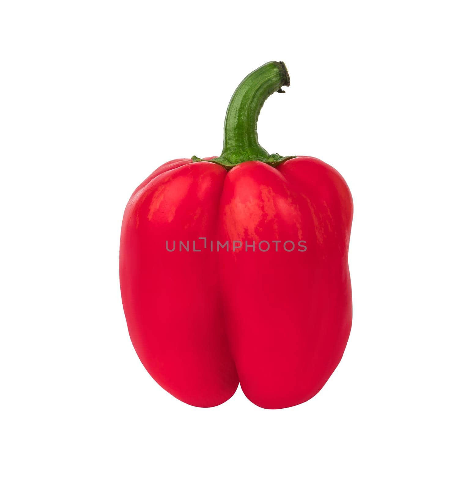 One whole bell pepper, red in color, on a white background