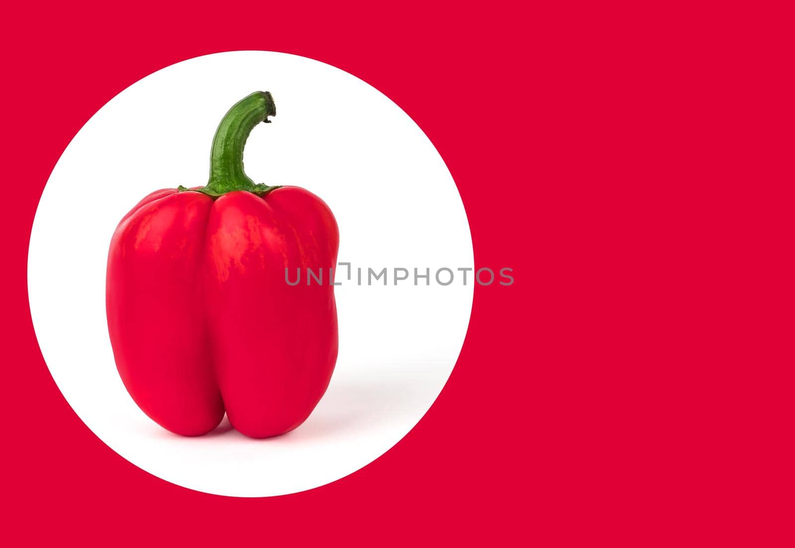 One whole bell pepper, red, on a white background, with a shadow, space for the text on a red background by A_A