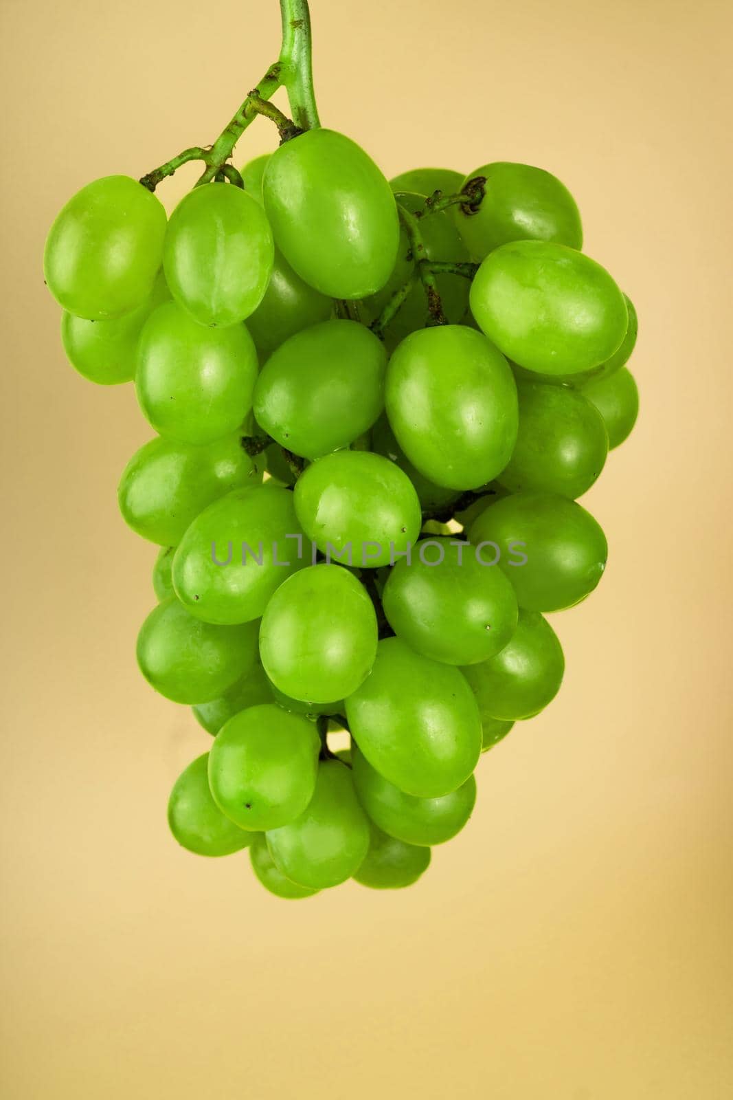 a bunch of ripe grapes, white filling, on a yellow background in isolation