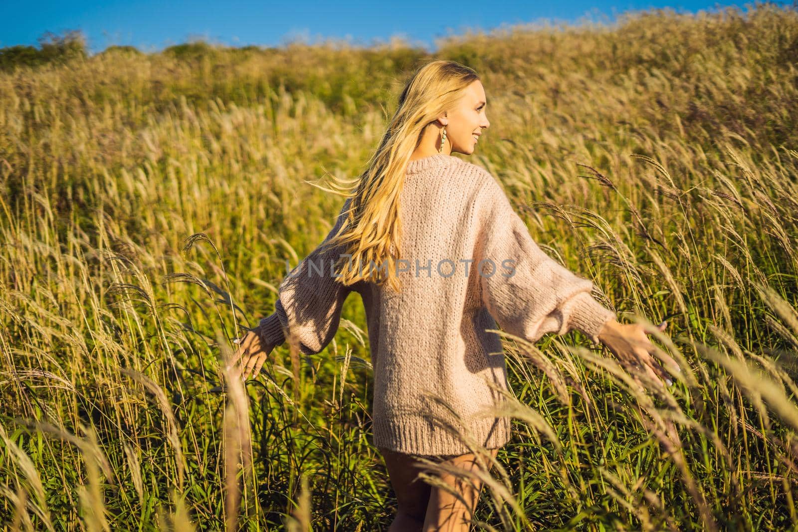 Young beautiful woman in autumn landscape with dry flowers, wheat spikes. Fashion autumn, winter. Sunny autumn, Cozy autumn sweater. fashion photo.