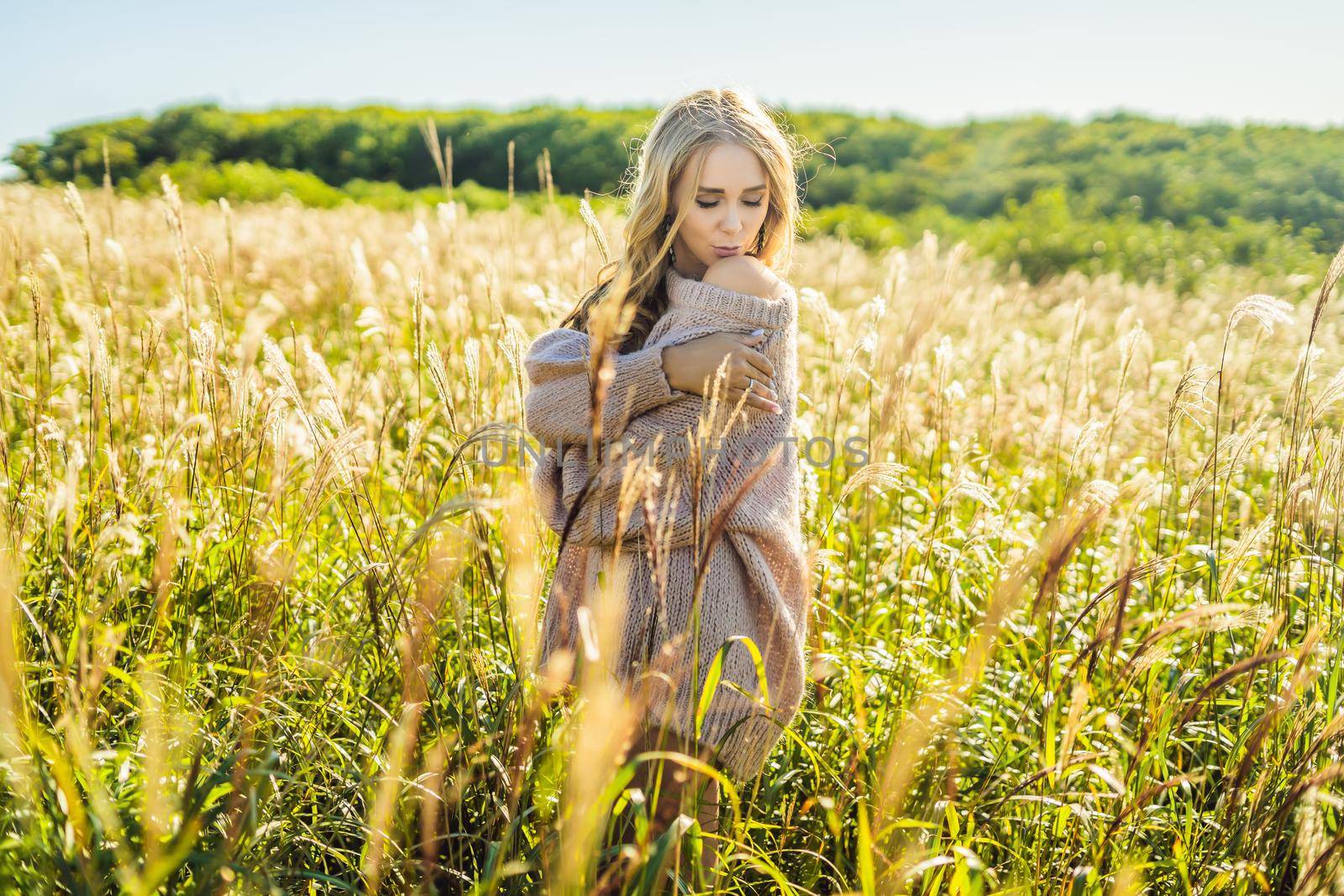 Young beautiful woman in autumn landscape with dry flowers, wheat spikes. Fashion autumn, winter. Sunny autumn, Cozy autumn sweater. fashion photo.