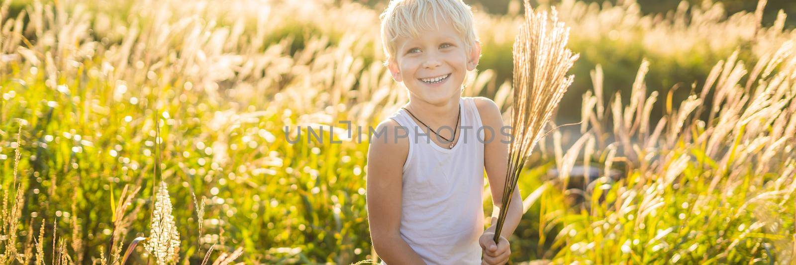 Beautiful happy smiling little boy among the cornfields touching plants with his hands BANNER, LONG FORMAT by galitskaya