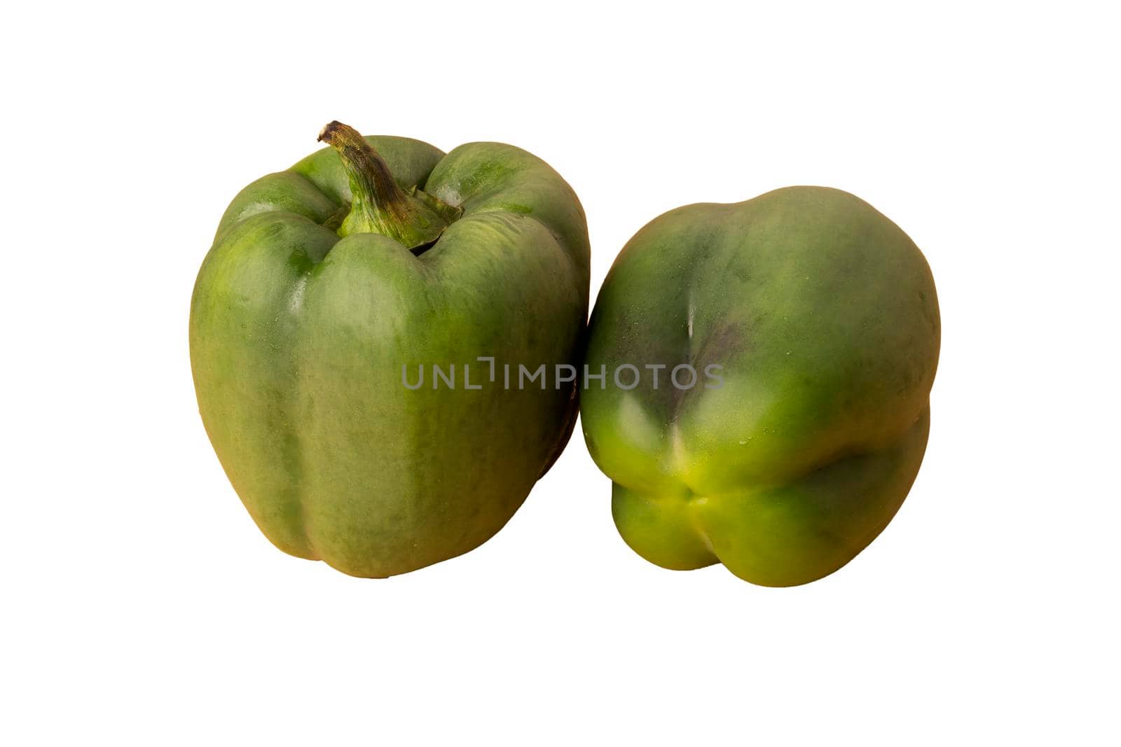 Two green peppercorns on a white background in isolation