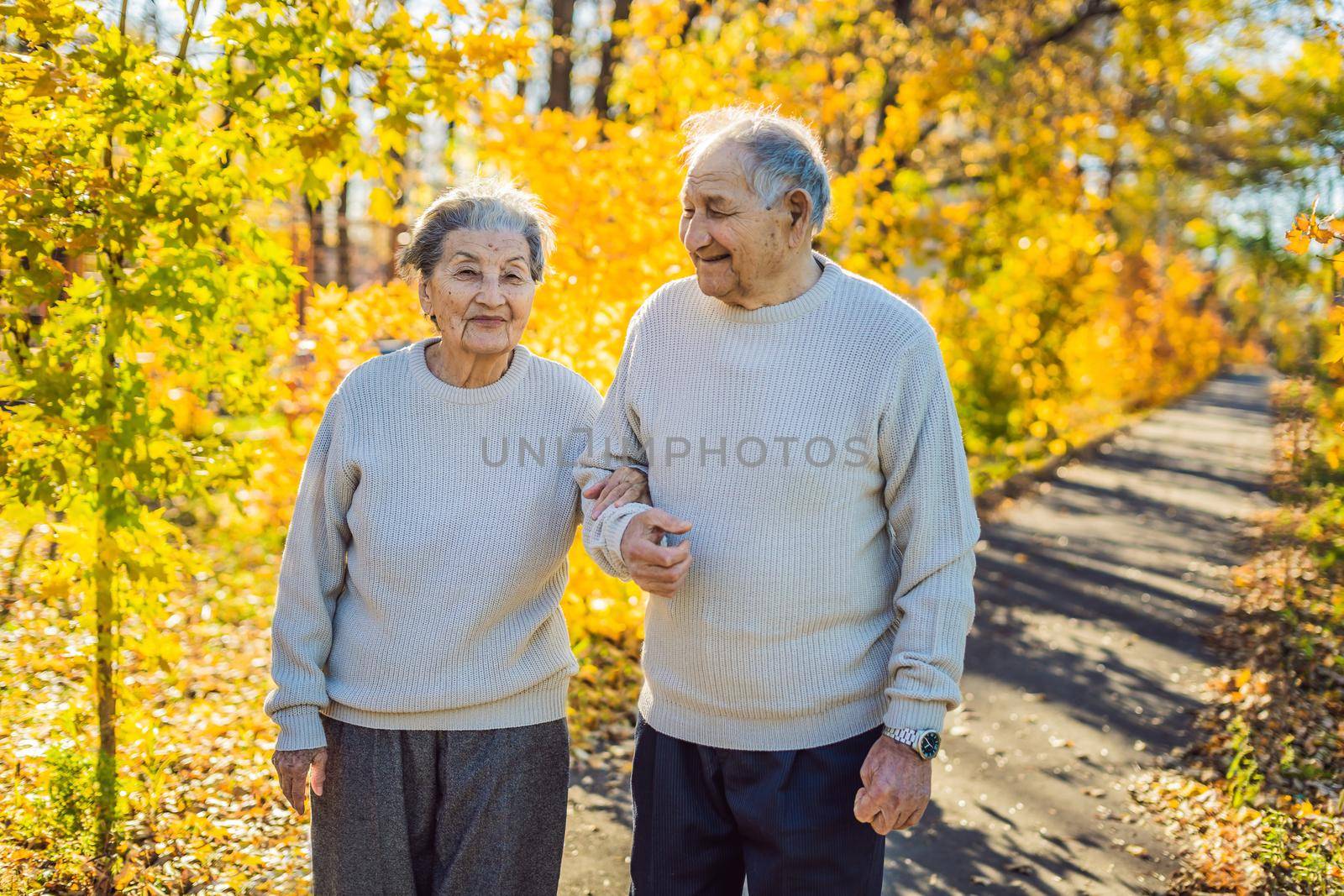 Happy senior citizens in the autumn forest. family, age, season and people concept - happy senior couple walking over autumn trees background by galitskaya