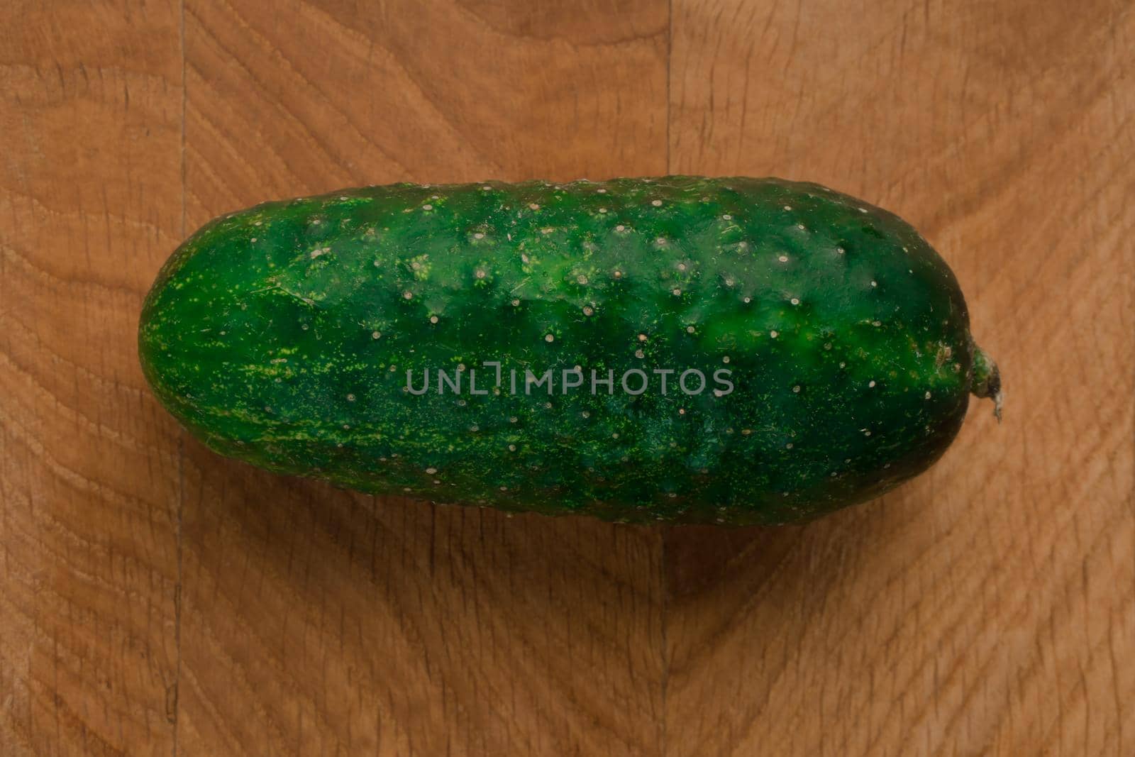 One fresh green cucumber on a wooden board closeup shot by A_A