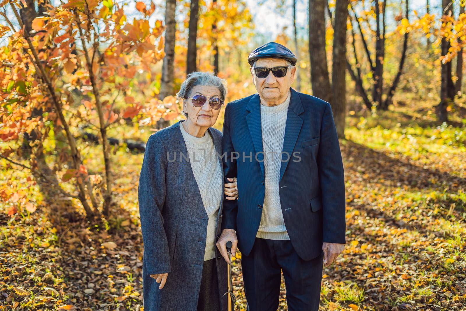 Pensioners in sunglasses in the autumn forest. Pensioners like gangsters.